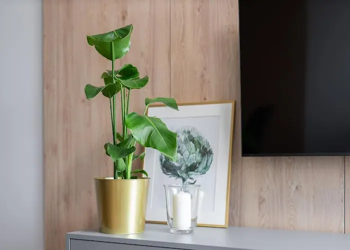 Echo Nowe Jezyce Апартаменти *