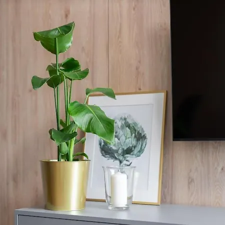 Echo Nowe Jezyce アパート *